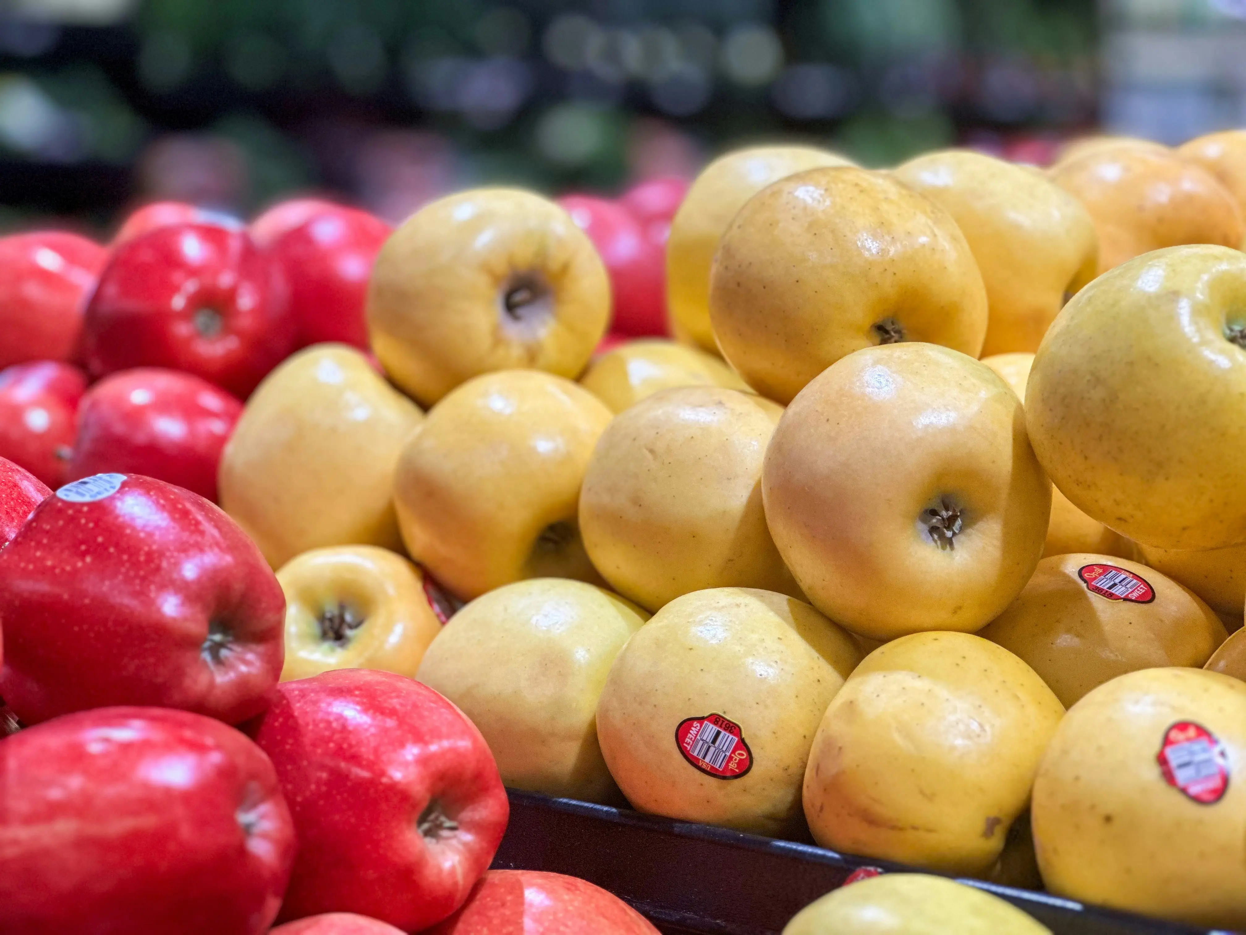 fruits