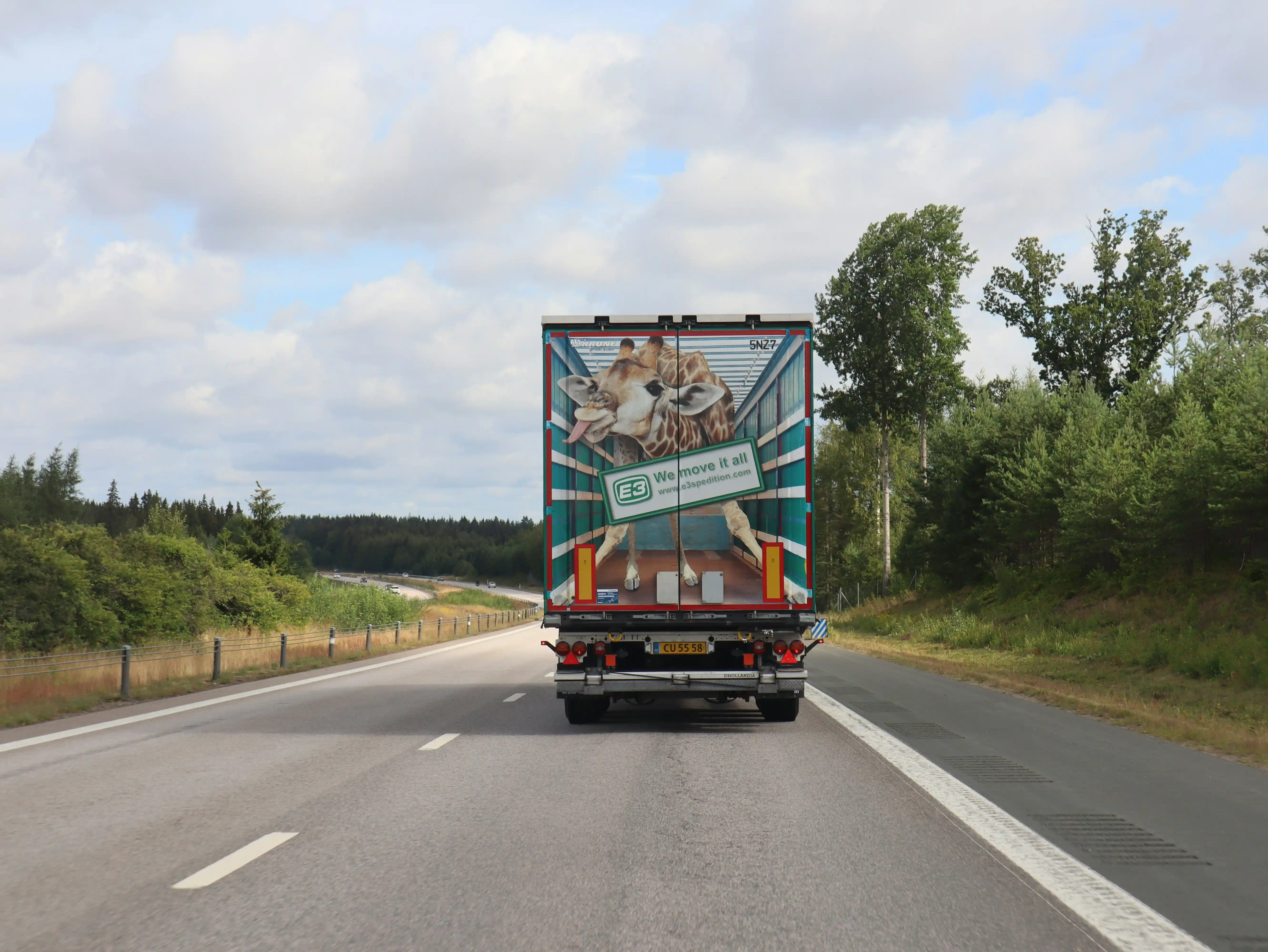 animal-transfer
